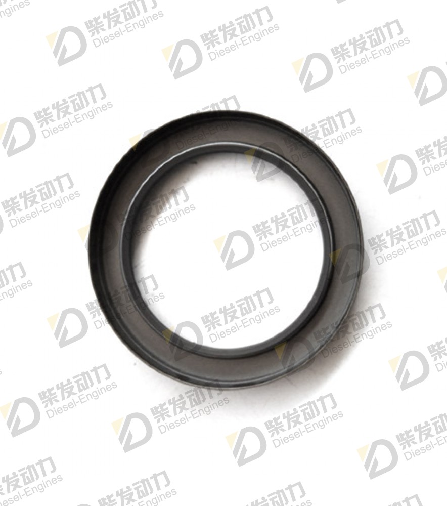 Sealing ring 424983 